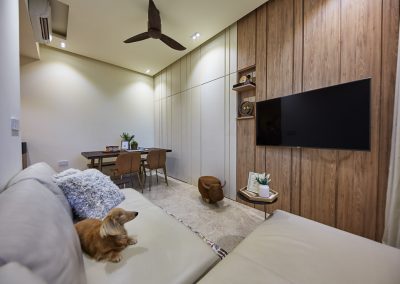 Living Room Design Ideas