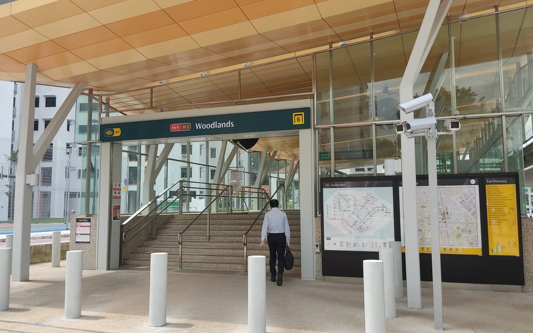 Why Woodlands Homeowners Renovating in 2026–2027 Are Shortlisting Interior Designers Near Them